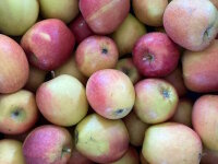 &Auml;pfel Braeburn