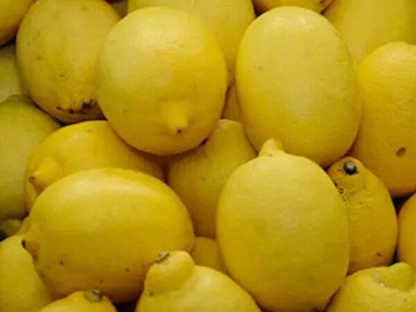 Zitronen Schale unbehandelt 1 St&uuml;ck