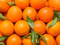 Orangen Navelina 1 Kilogramm