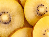 Kiwi gold 1 St&uuml;ck