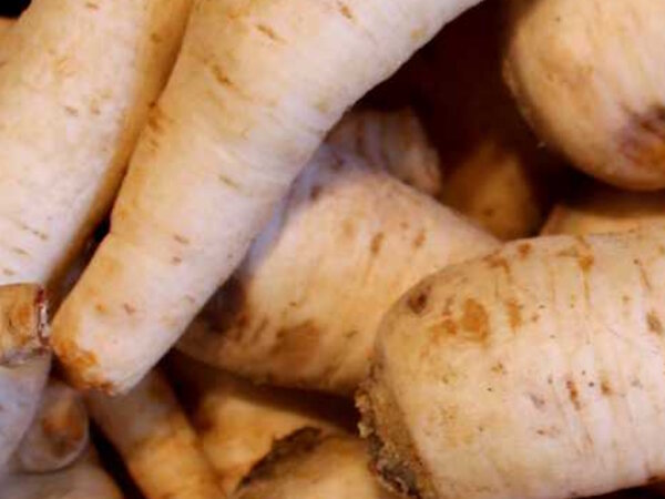 Petersilienwurzel 100 Gramm