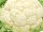 Blumenkohl 1 Stück