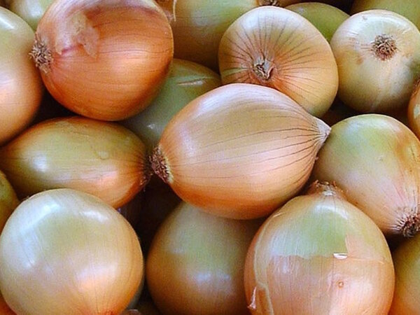 Zwiebeln 1 Kilogramm