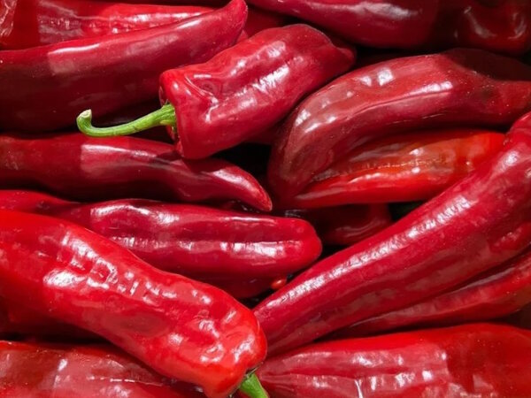 Paprika spitz rot 200 Gramm