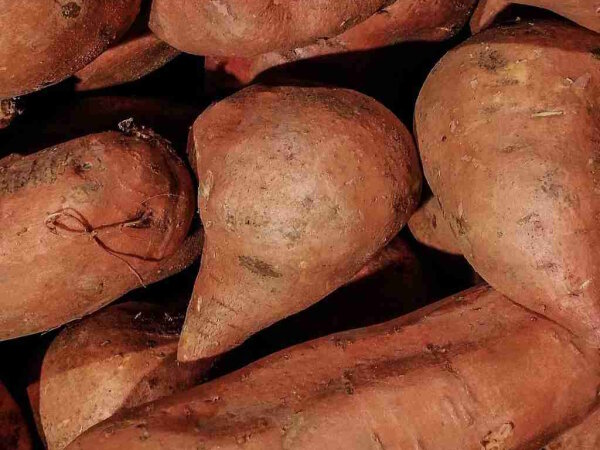 S&uuml;&szlig;kartoffeln 1 Kilogramm