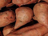 S&uuml;&szlig;kartoffeln 1 Kilogramm