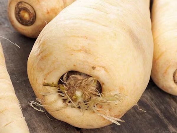 Pastinaken 100 Gramm