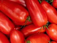 Tomaten "San Marzano" 200 Gramm