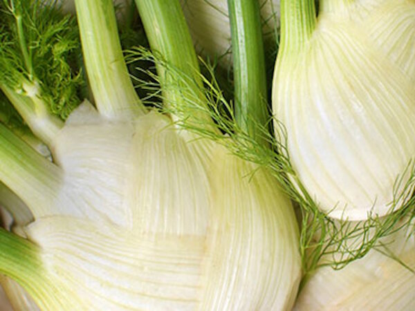 Fenchel 250 Gramm