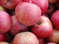 &Auml;pfel Fuji