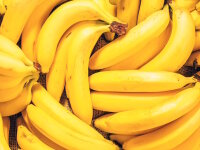 Bananen Bio 1 Kilogramm