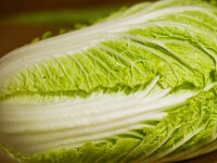 Chinakohl 1 Kilogramm